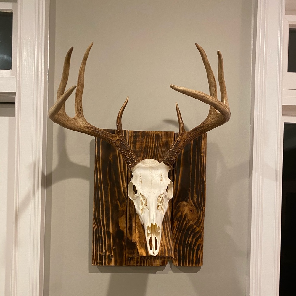 Meet your Posher, Greg